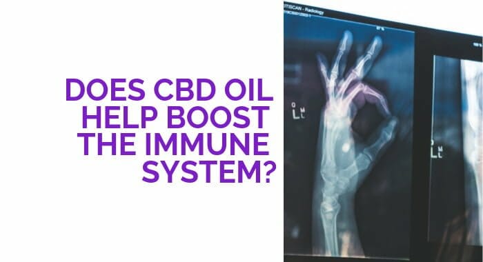 Does CBD Oil Help Boost The Immune System?