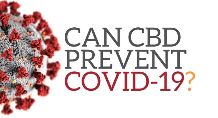 Can CBD Prevent COVID-19?
