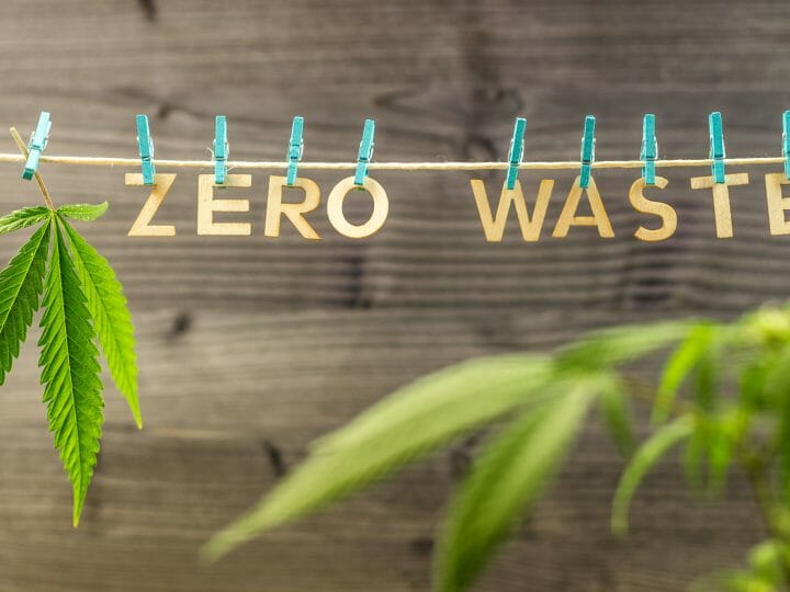 Hemp By-Products: Risk or Treasure?