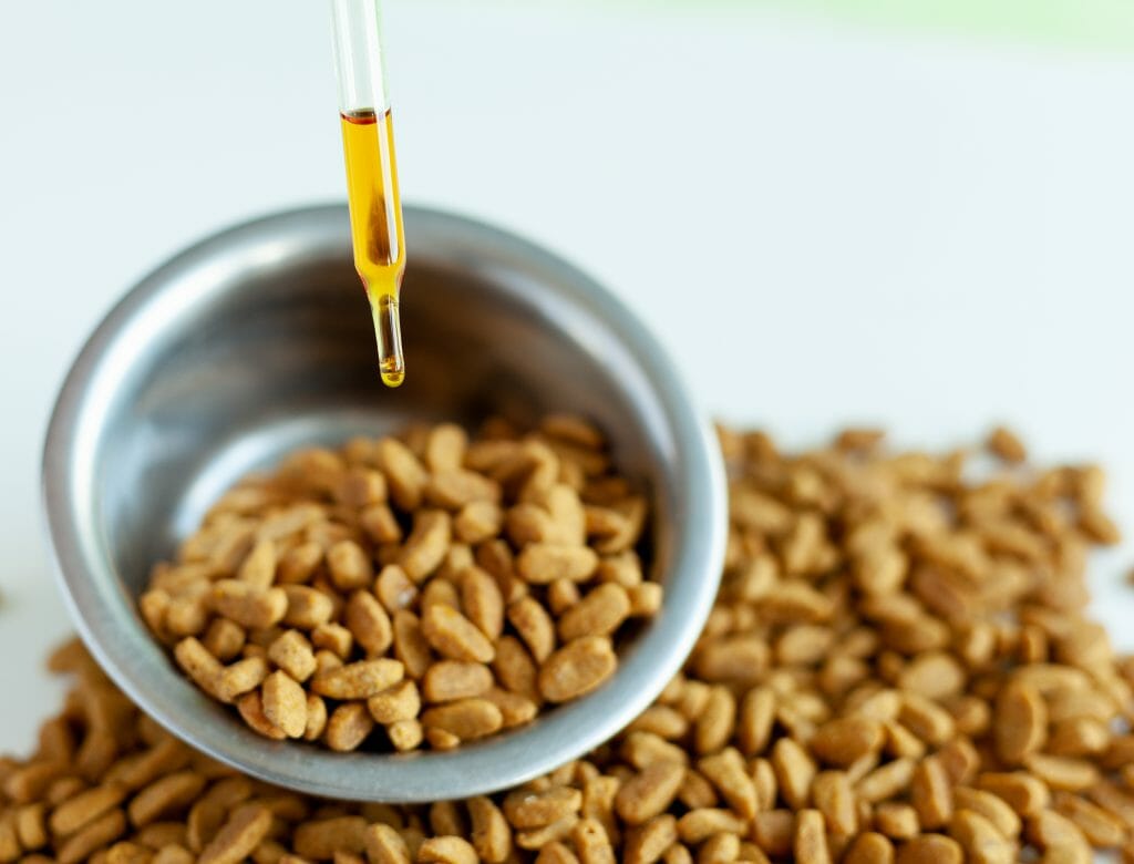Adding CBD to dog food | CBD4Beginners, the top CBD site in the UK