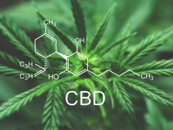 What Don’t We Know about CBD?