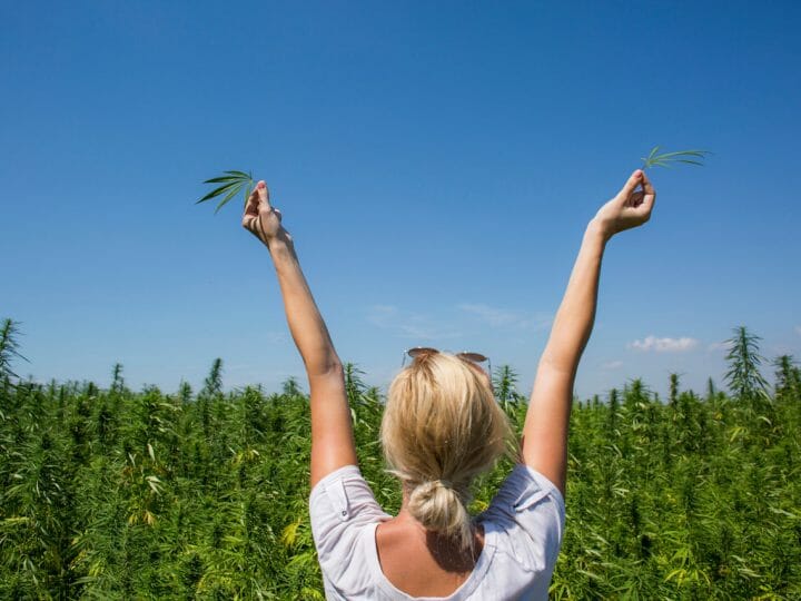 CBD and Summer: the Perfect Combination