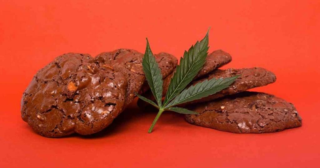 cbd chocolate chip
