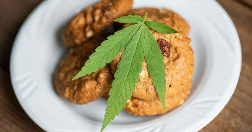 cbd chocolate chip