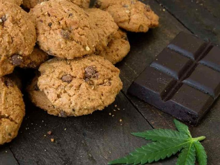 Best CBD Chocolate Chip Cookies Recipe (A Step by Step Guide)