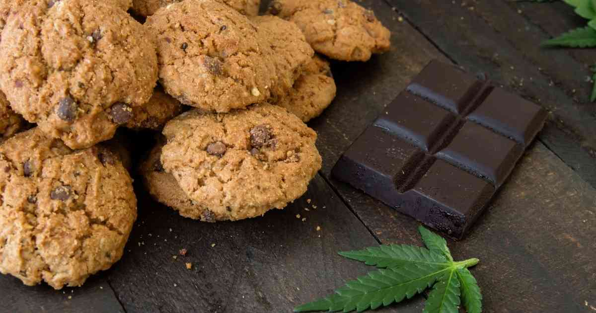 Best CBD Chocolate Chip Cookies Recipe (A Step by Step Guide)