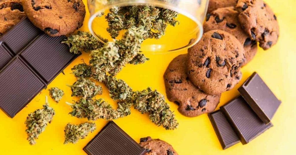 cbd chocolate chip