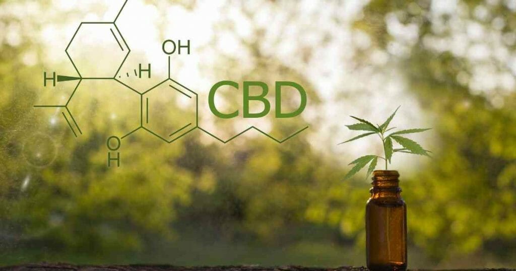 cbd