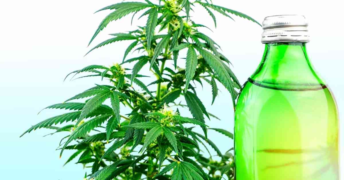 CBD Juice Cleanse: Best Recipes to Try at Home