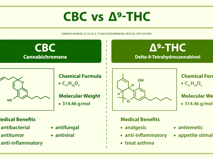 How Much THC Does Your CBD Product Contain?