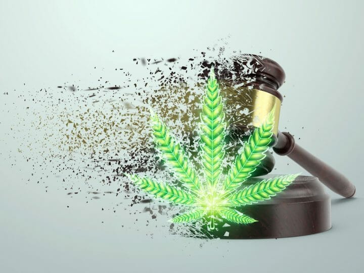 Cannabis Stirs Politics in Britain, the Overseas Territories, and Crown Dependencies