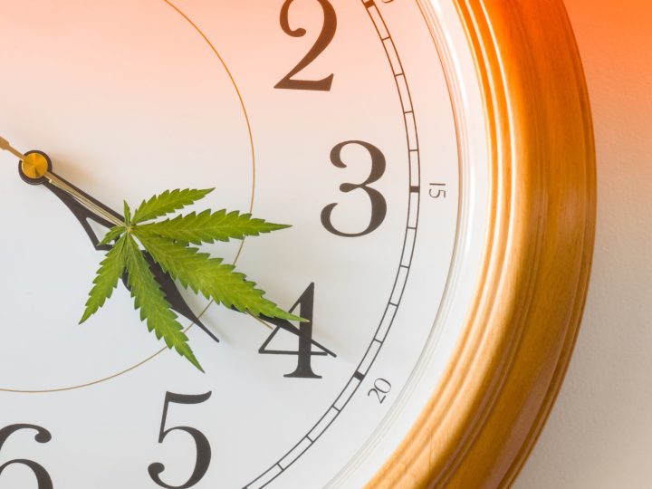 When Is the Best Time to Take CBD?