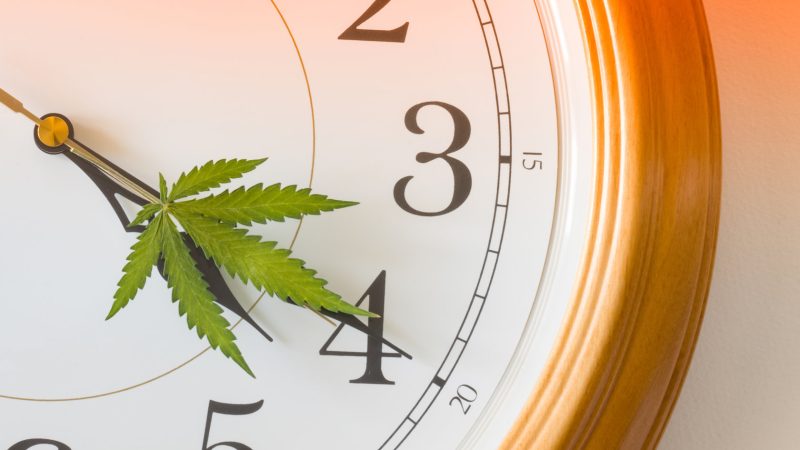 When Is the Best Time to Take CBD?