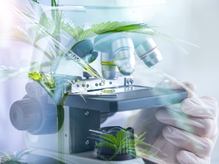 CBD Technology: How Tech Affects CBD Production and Consumption