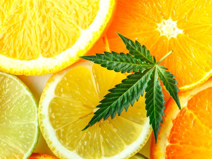 CBD and the Grapefruit Rule