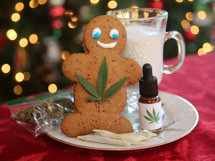 Thriving (Not Just Surviving) Through the Holidays with CBD